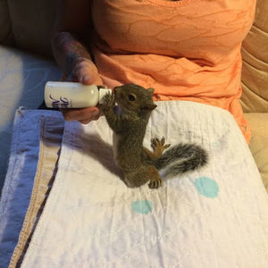 Meet your Posher, Brandy